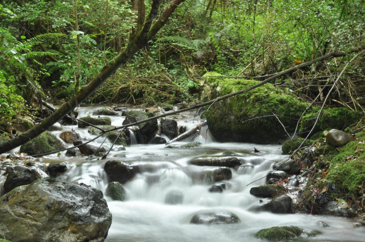 El Caleyon Bulnes Exterior foto